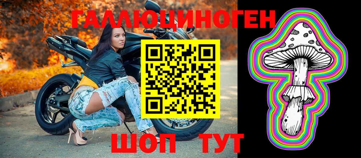 Карасук  Псилоцибиновые грибы прущие грибы  Вход с VPN  Галлюциногенные грибы мицелий 
